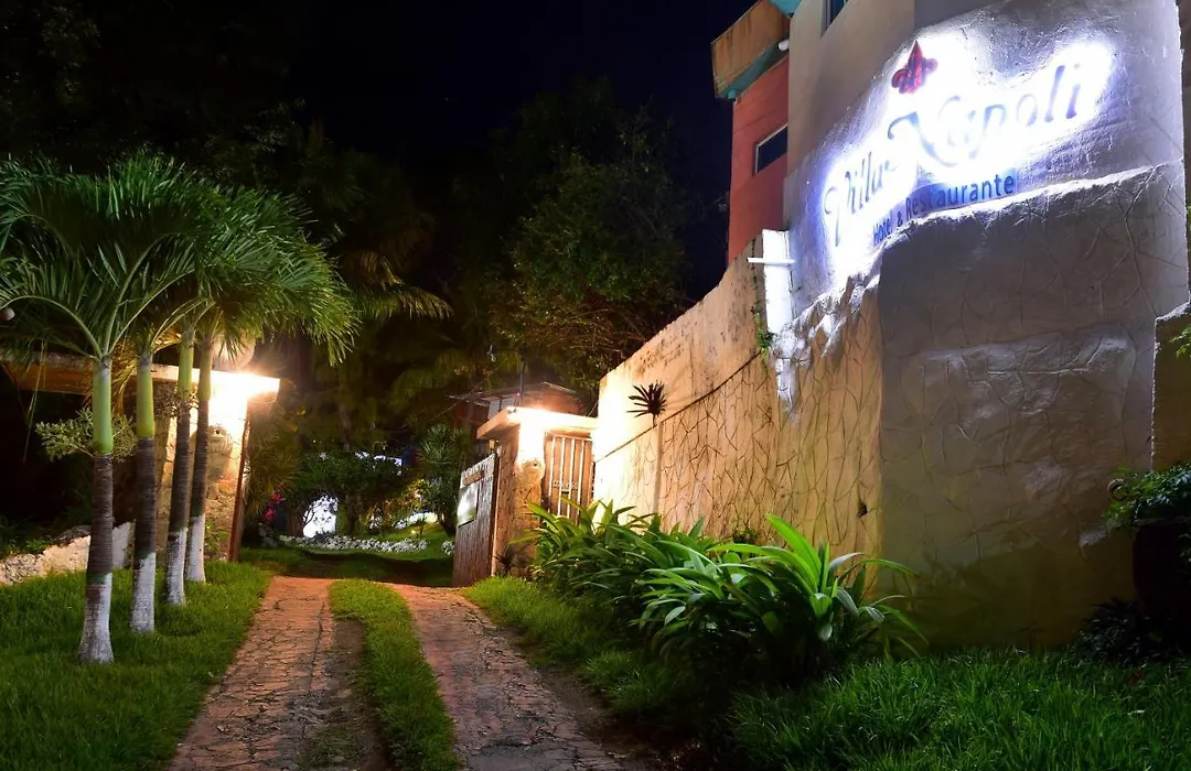 Villa Napoli Bed & Breakfast-1